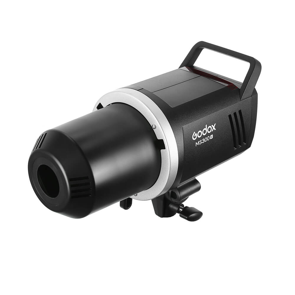 MS300-VStudioFlashMonolight2