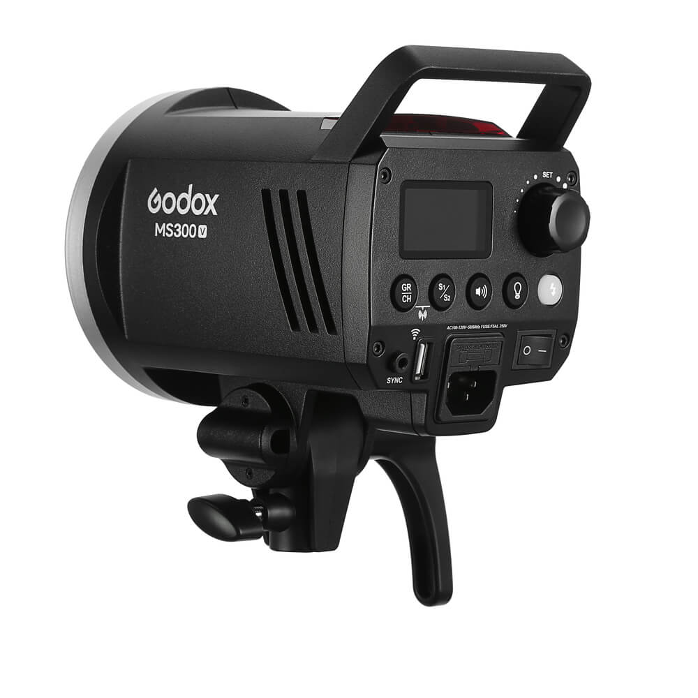 MS300-VStudioFlashMonolight4